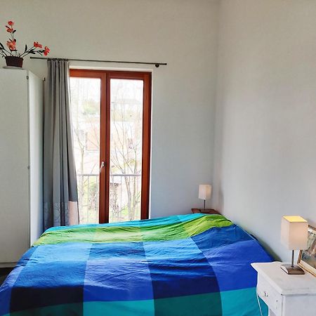 Petit Nid En Alsace Studio Independant Avec Salle De Douche Privative Buschwiller Esterno foto