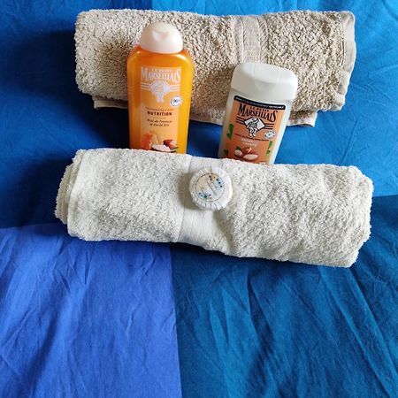 Petit Nid En Alsace Studio Independant Avec Salle De Douche Privative Buschwiller Esterno foto
