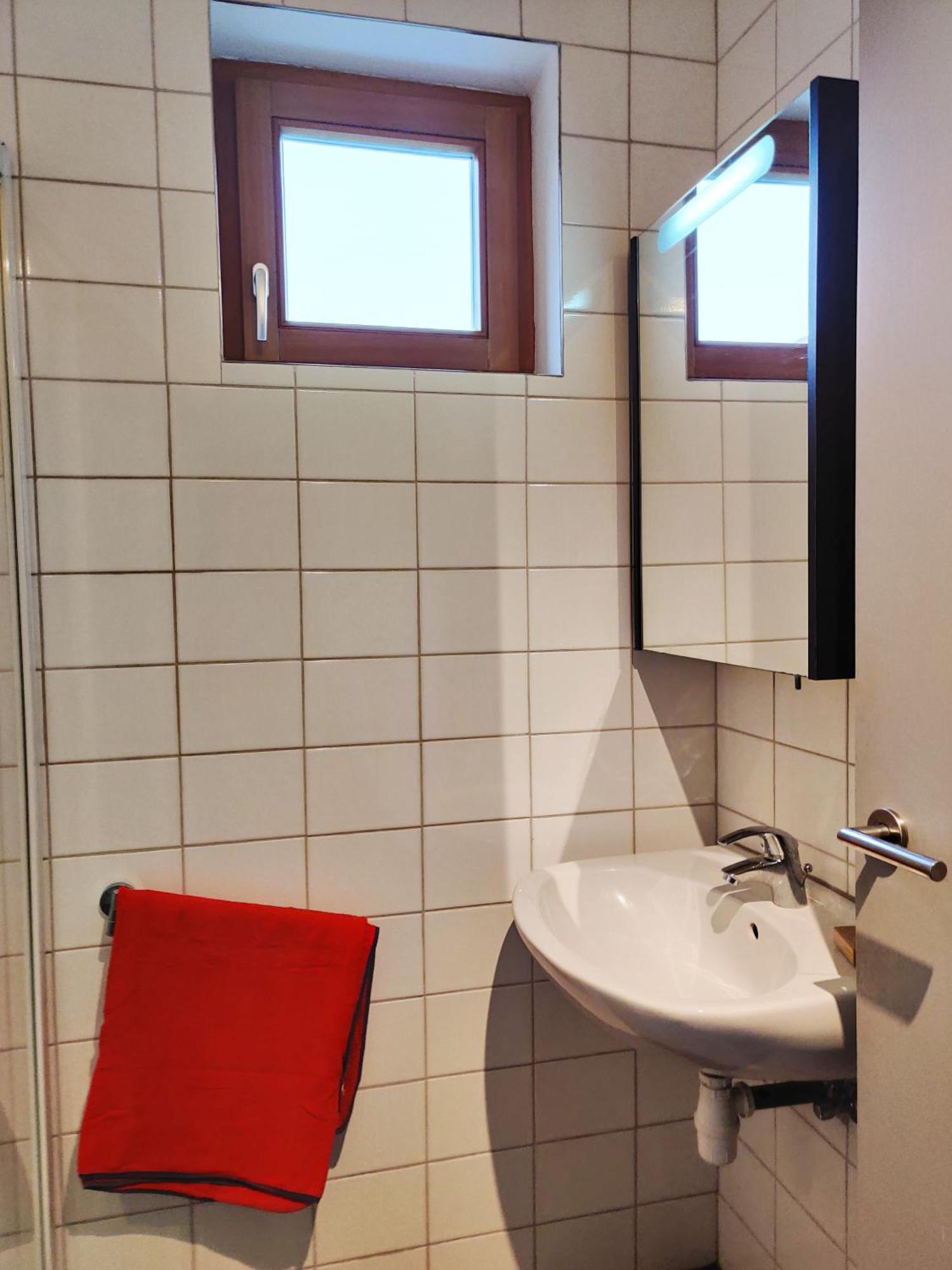 Petit Nid En Alsace Studio Independant Avec Salle De Douche Privative Buschwiller Esterno foto